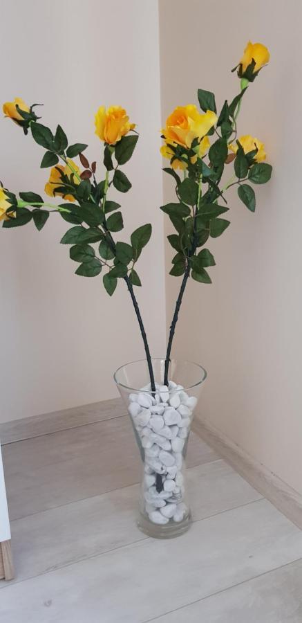 Rozsa Apartmanhaz Szeged Extérieur photo